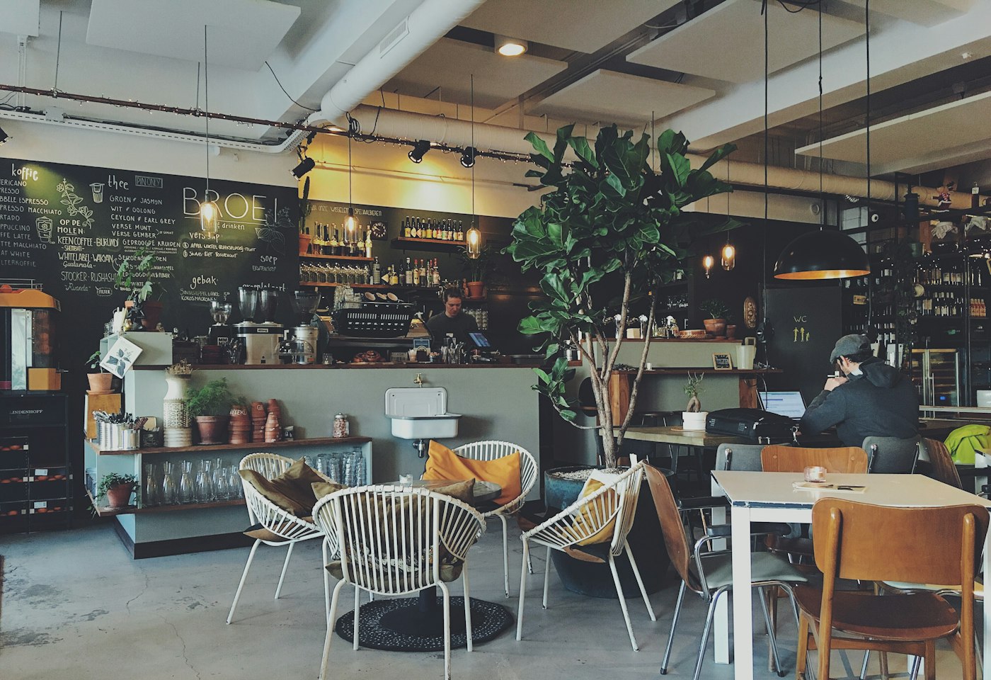 Café interior with industrial ceiling and plants